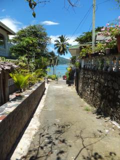 Beau Bamboo - Mahe - 3