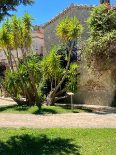 Le Colline del Gelso-Masseria Mazzei - 7