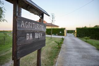Agriturismo Da Rosy - Codevigo - 5