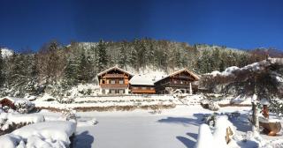 Hotel Pension Hubertus - Bad Reichenhall - 2