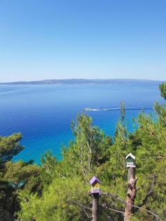 Apartman Silva - Baška Voda - 9