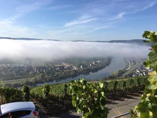 Ferienwohnung Bergblick - Trittenheim - 5