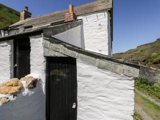 Harbour Cottage - Boscastle - 8