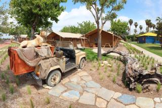Sangulí Camping & Resort - Salou - 9