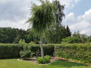 Big Mama_s Home - Tschernitz - 2