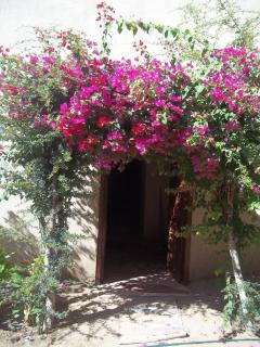 Nour El Gourna - Luxor - 0