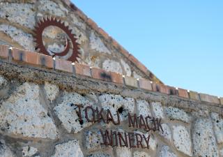 Penzión TOKAJ MACIK WINERY B&B - Malá Tŕňa - 7