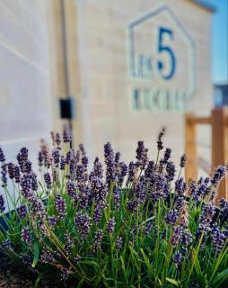 Les 5 rûches - Courseulles-sur-Mer - 6