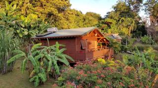 Les Bananes Vertes Ecolodges - 0