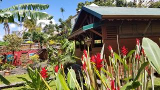 Les Bananes Vertes Ecolodges - 4