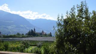 Apartment Pyrus - Tirol - 3