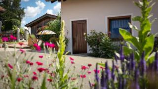 Ferienhaus Zillendorf - Zillendorf - 9