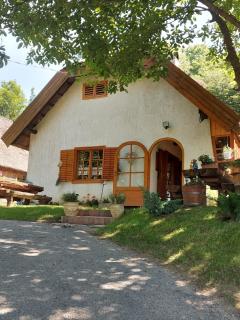 Landhaus mit Weinkeller - Nádas Pince - Szőlősgyörök - 5