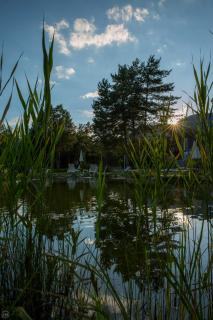 Apart-Elisabeth - Mieming - 4