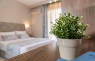 Hotel Olga - 7