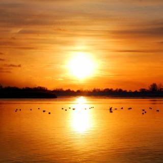 Wherry Hotel - Lowestoft - 6