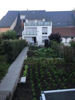 Ferienwohnungen Weiherhausstraße 6 - Herten - 2