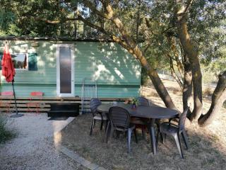 Bungalow Chez Gilly - Boisset-et-Gaujac - 4