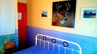 L'Hermine Occitane B&B - 2