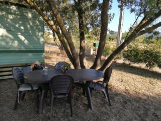 Bungalow Chez Gilly - Boisset-et-Gaujac - 6