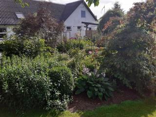Brovst bed and breakfast - Brovst - 3
