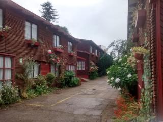 Hotel Di Torlaschi - Valdivia - 7