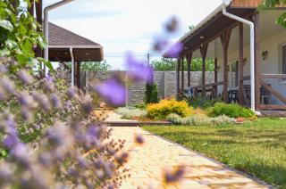 Три кошки - 3