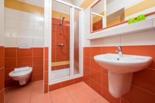 Horský Hotel Jelínek - Bedřichov - 4
