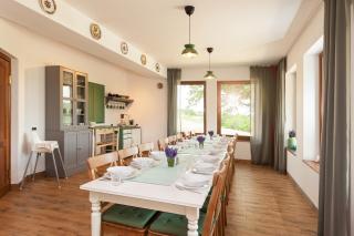 Rose Hip Hill Guesthouse - Valea Tîrnei - 5