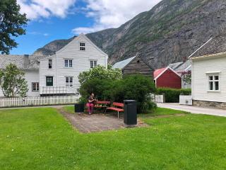 Den Gule Krambua - Gamle Lærdalsøyri - main street old town - Lærdalsøyri - 2