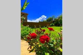 Flowery House - 4