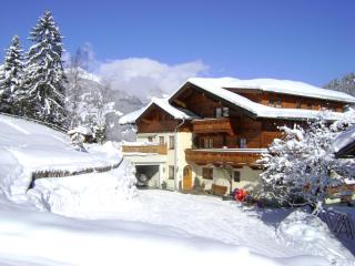 Wandlehenhof - Grossarl - 9