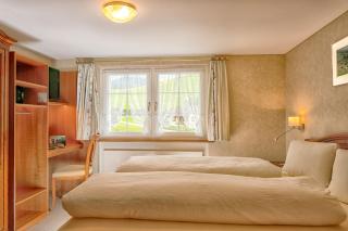Hotel Alpenblick - Weissbad - 3