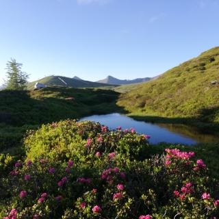 Apartment Natur Herz - 1