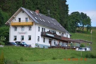 Gasthaus Pension Donishäusle - Titisee-Neustadt - 9