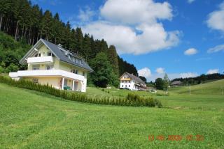 Gasthaus Pension Donishäusle - Titisee-Neustadt - 7