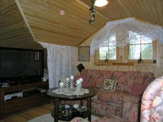 Holiday Home Elsanranta by Interhome - Leppävirta - 5