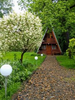 Bieszczadzkie domki z widokiem 793-903-243 - Bukowiec - 1