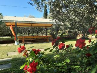 Agriturismo la Casetta - 3