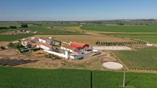 Quinta da Gafaria - Santarém - 7