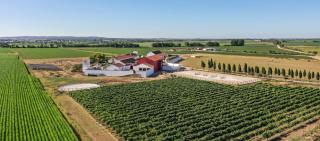 Quinta da Gafaria - Santarém - 6