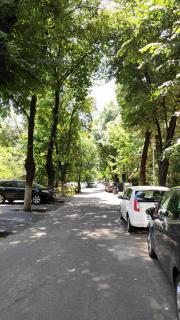 Mexonia Apartments - 1