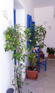 Christos Rooms - 4