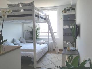 Le Cocon - Vue panoramique Strasbourg - Wifi - Netflix - Strasburgo - 3