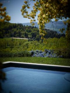 Montauto Suites - Chianciano Terme - 6