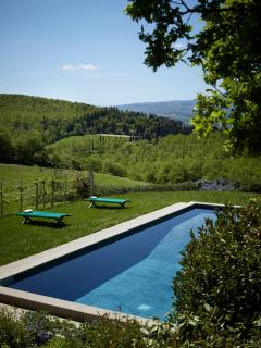 Montauto Suites - Chianciano Terme - 5