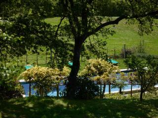 Montauto Suites - Chianciano Terme - 2