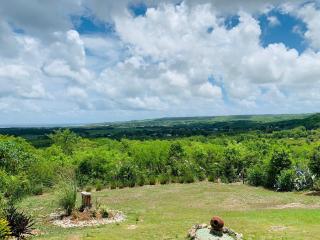 Maison Canne à Sucre - 2