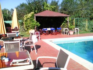 Little Star pioppa - 8