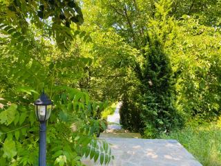 Friends Bungalows - 5